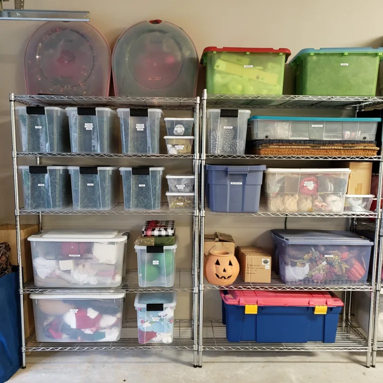 Two+Shelves+After+1