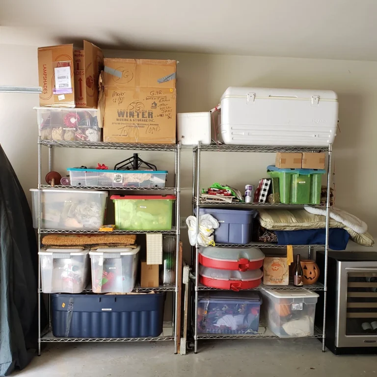 Two+Shelves+Before